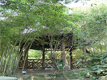 Shijiao Pavilion