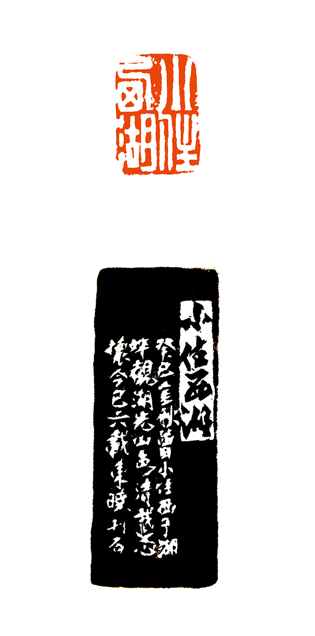 18王东晓  小住西湖.png